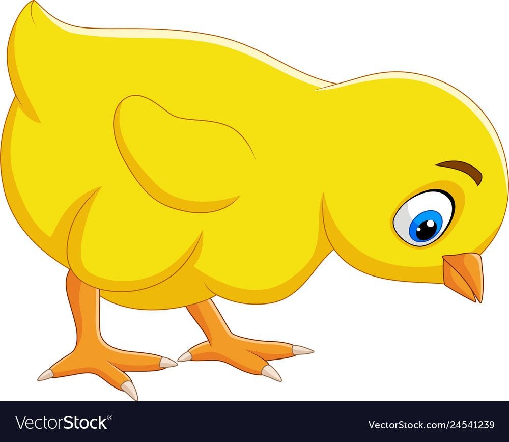 Цыплёнок смешной вектор