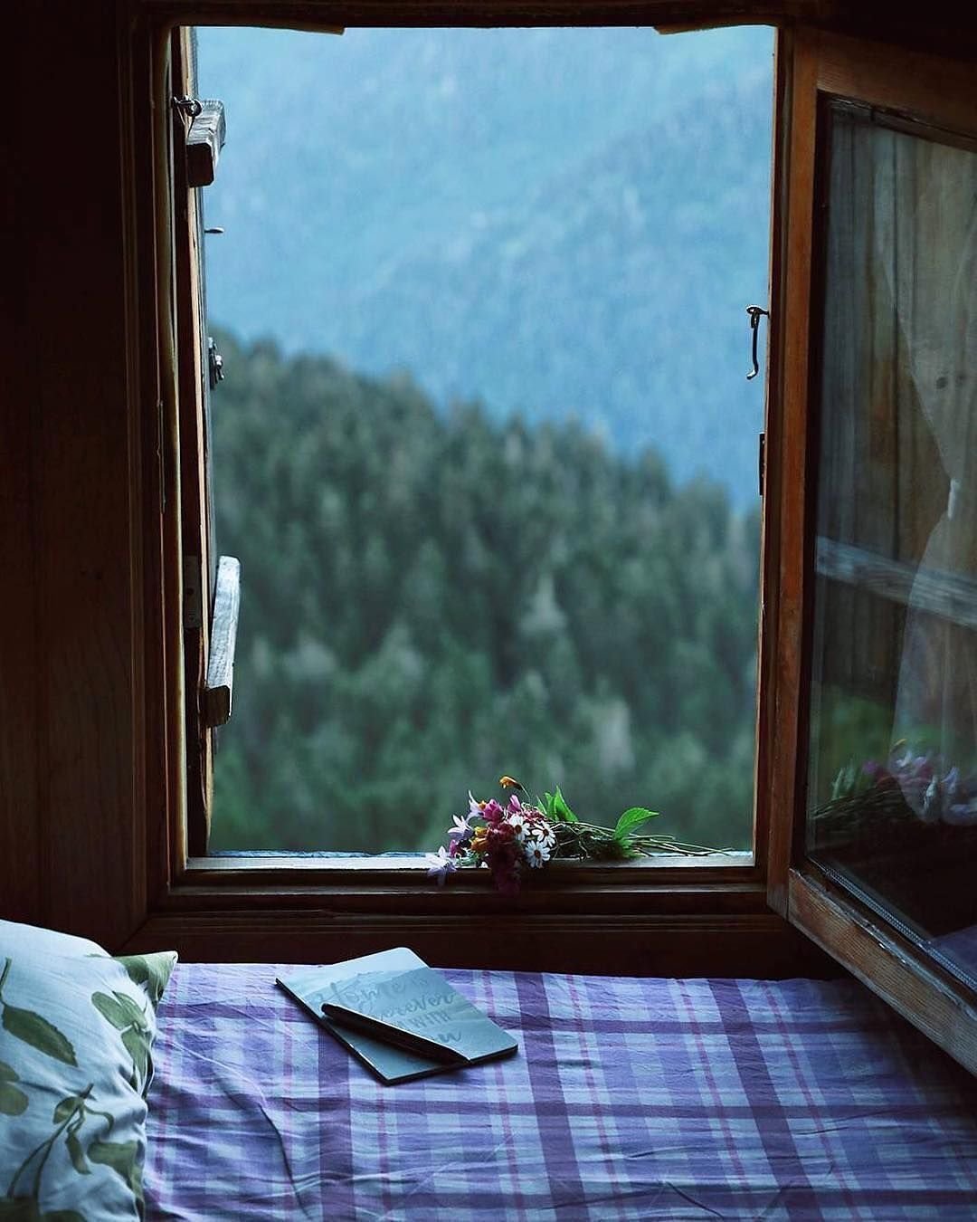 Окно в природу