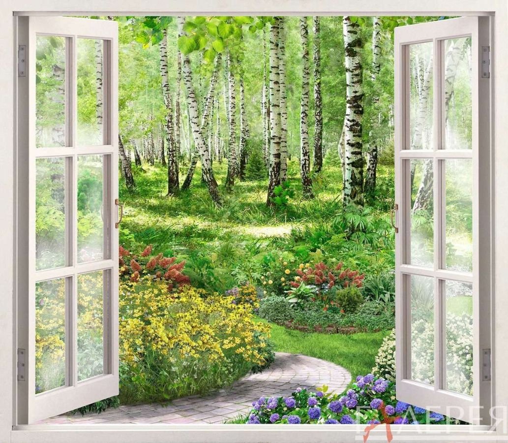 Фотообои на стену окно в сад