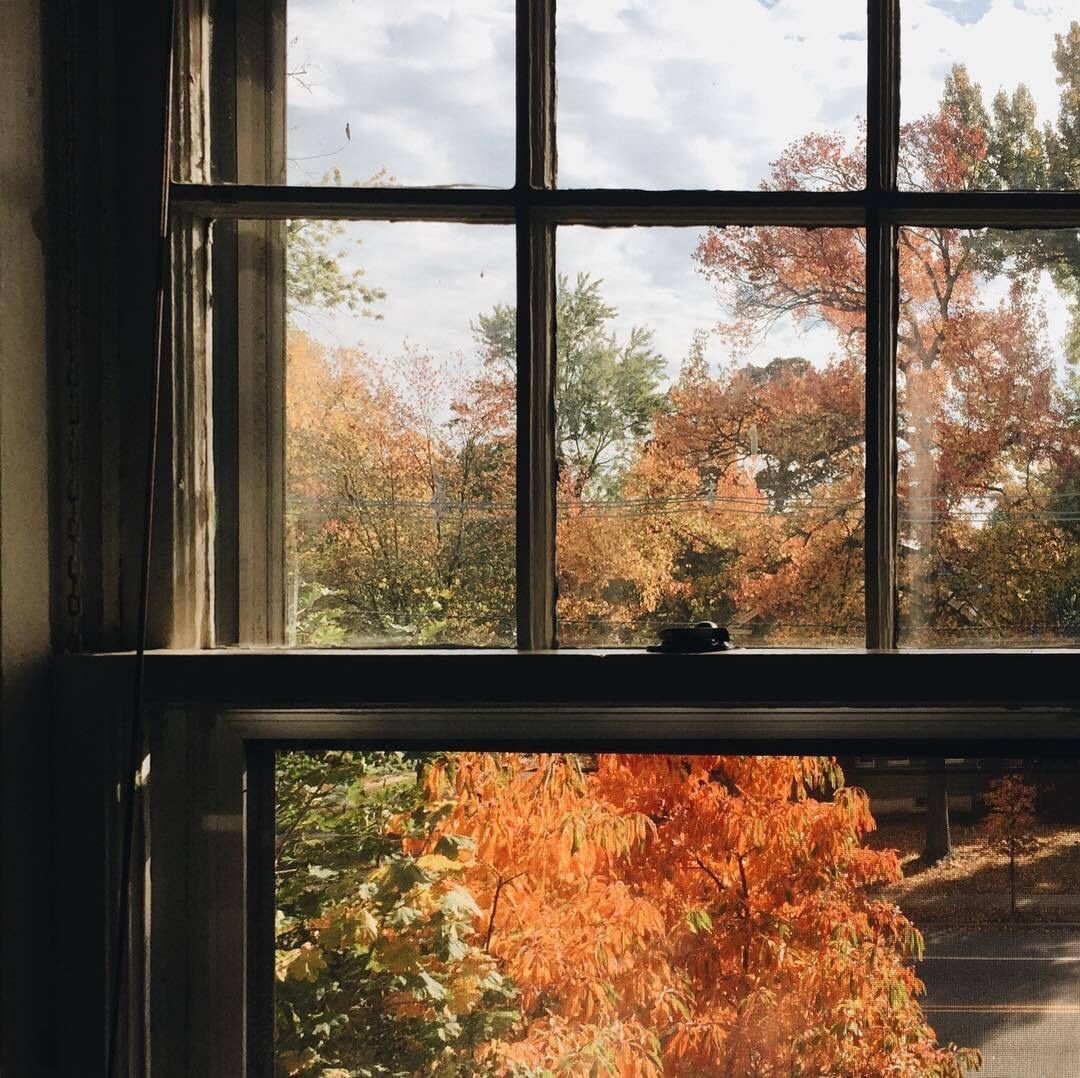 Осень из окна