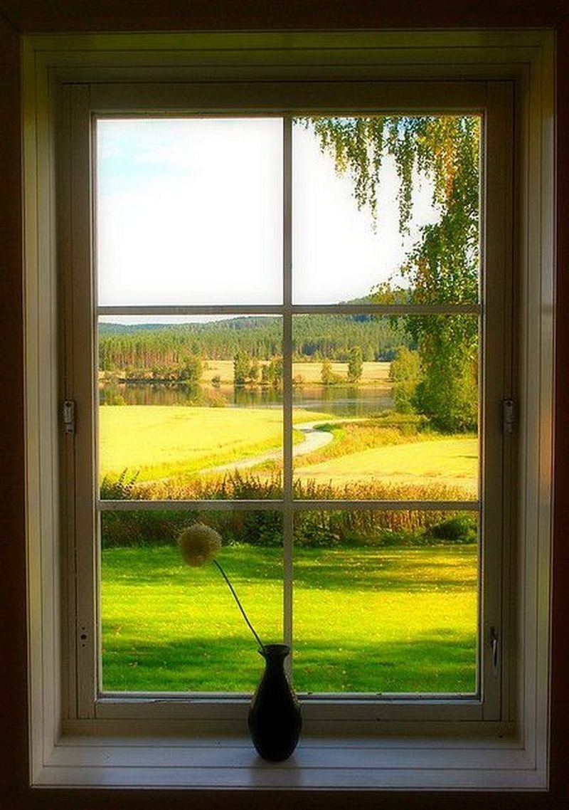 Вид из окна