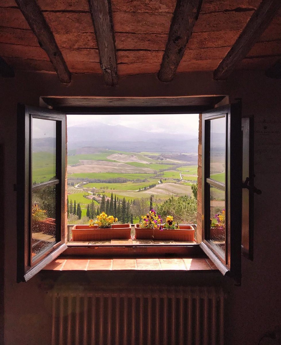 Вид из окна