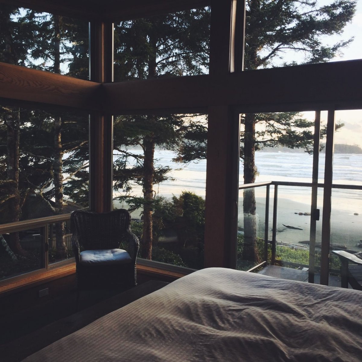 Домик в лесу вид из окна