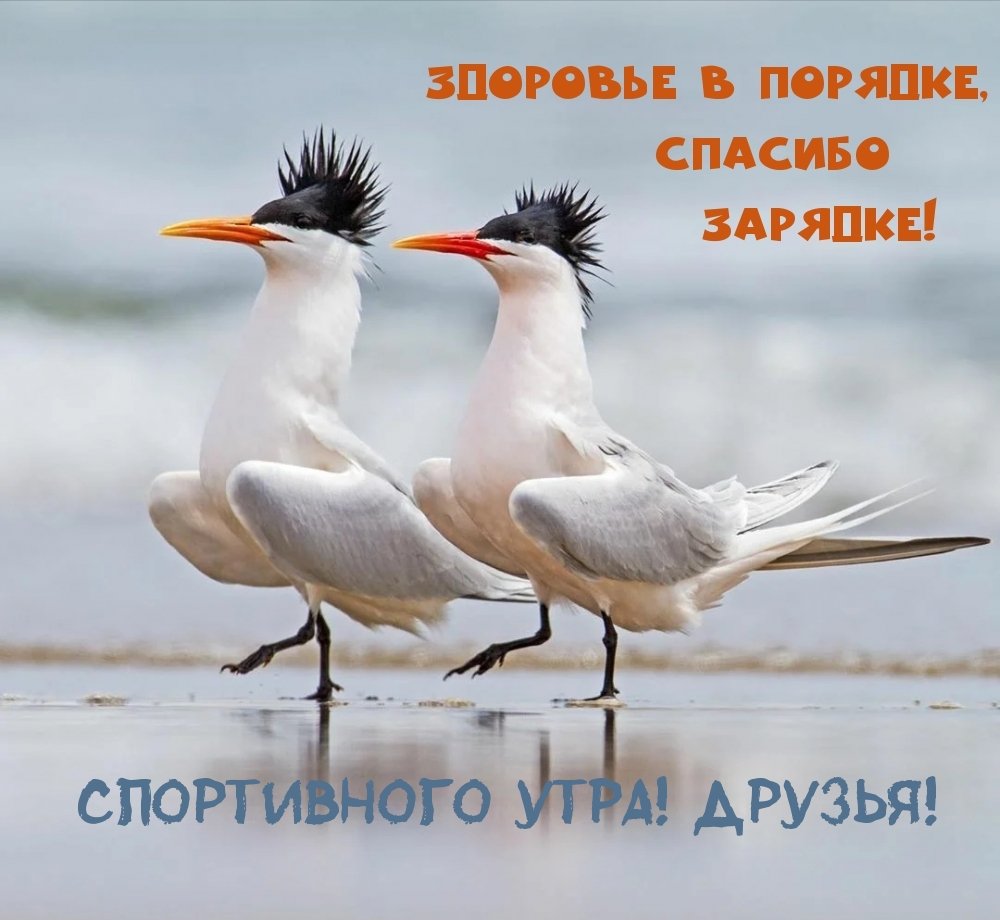 Добрым людям доброе утро