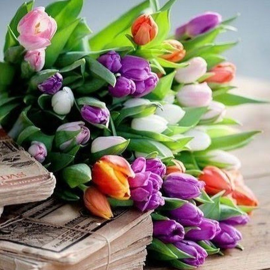 Букет тюльпанов открытка