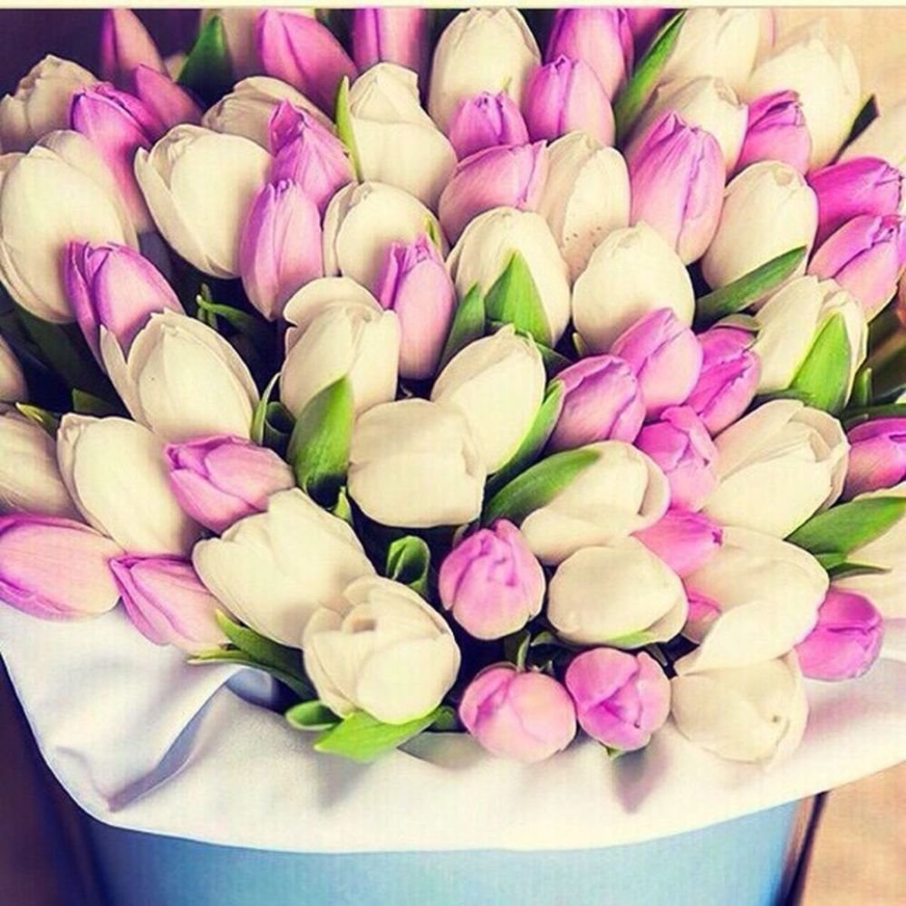 Нежные букеты тюльпанов в коробках