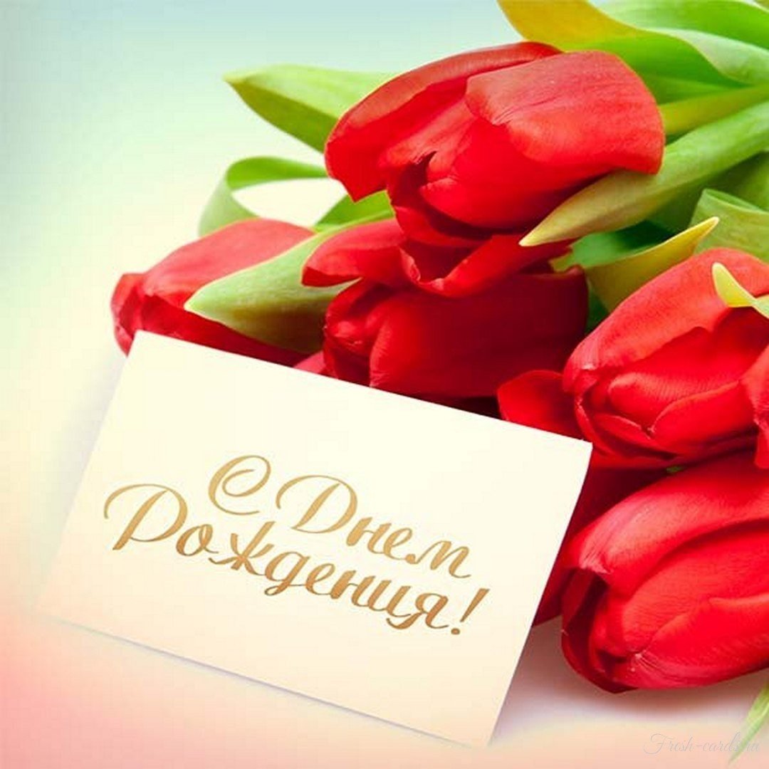 С днём рождения тюльпаны