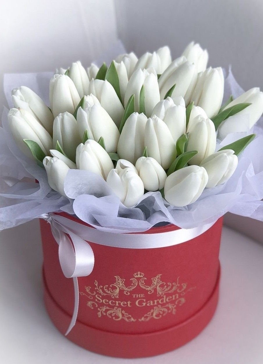 С днём рождения тюльпаны