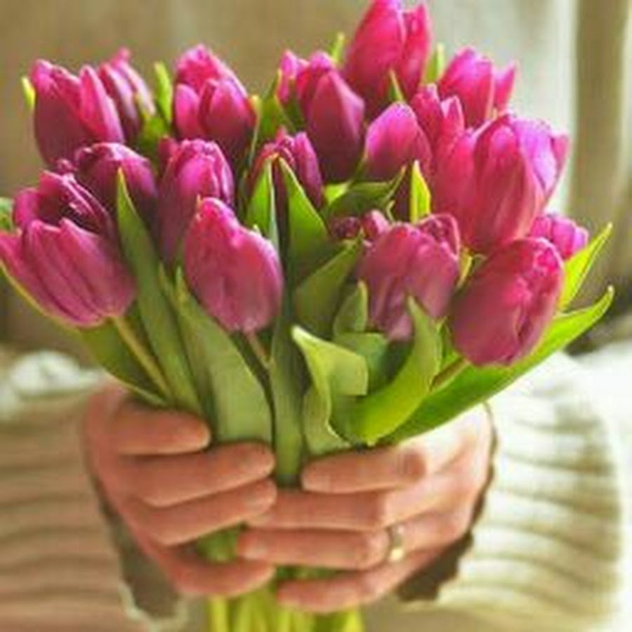 Картинки с днем рождения тюльпаны красивые