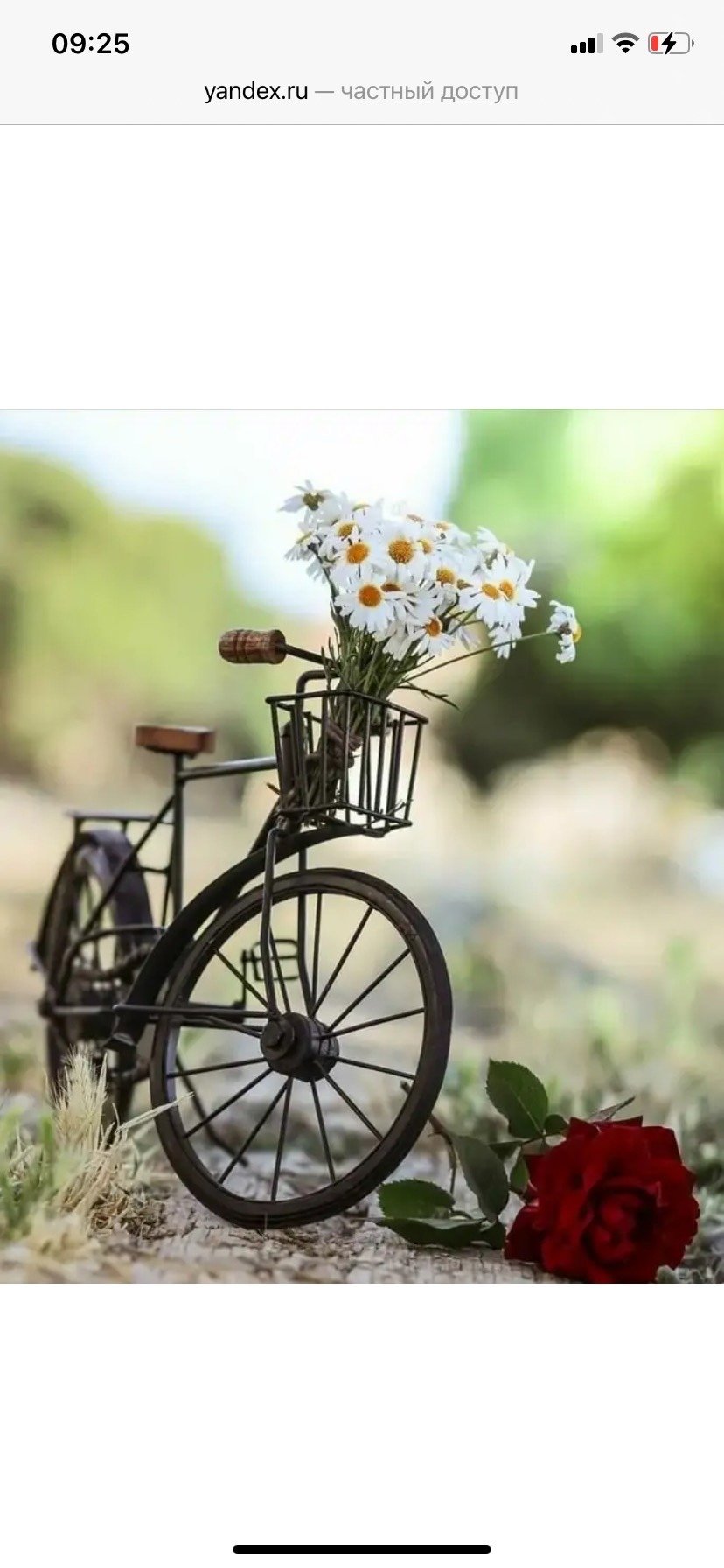 Улыбнись жизнь прекрасна