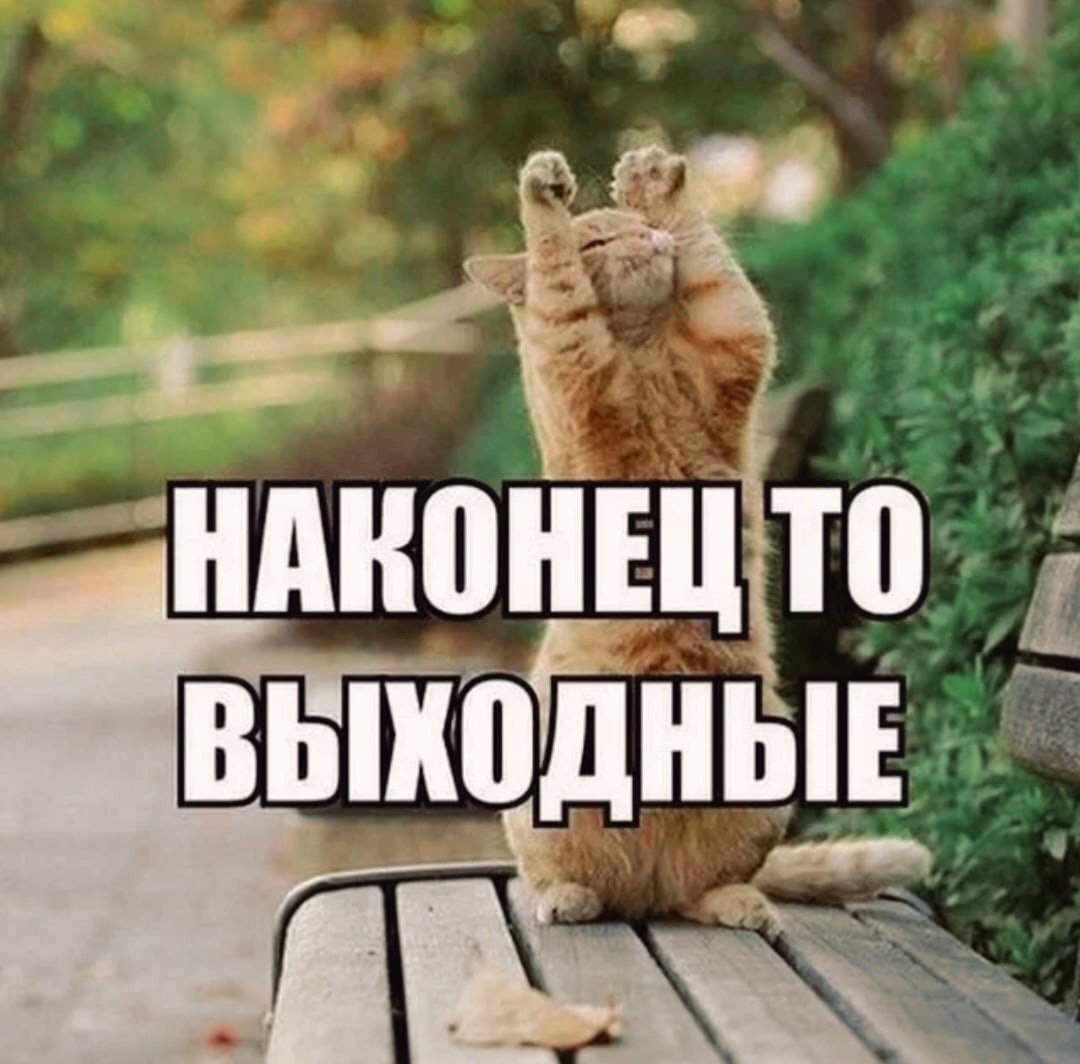 Проснулись УЛЫБНУЛИСЬ кот