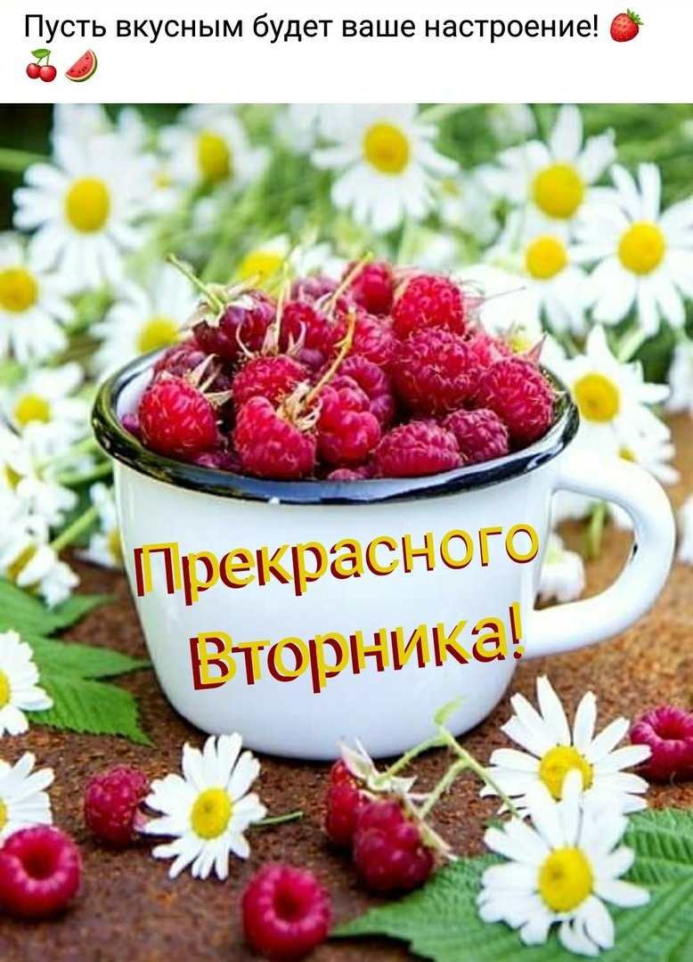 Малина и ромашки