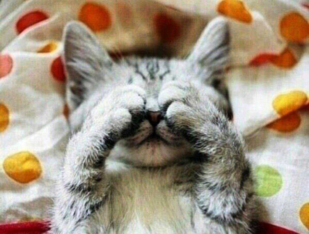 Собака улыбается