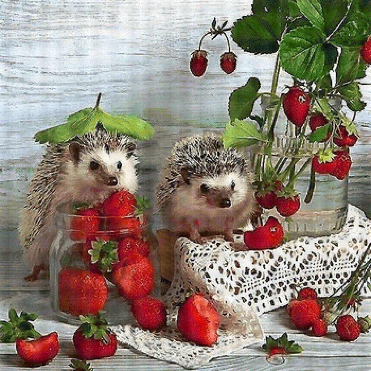 Доброе утро картинки позитивные прикольные с животными