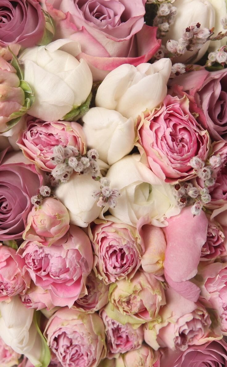 Пионовидные розы пастельные