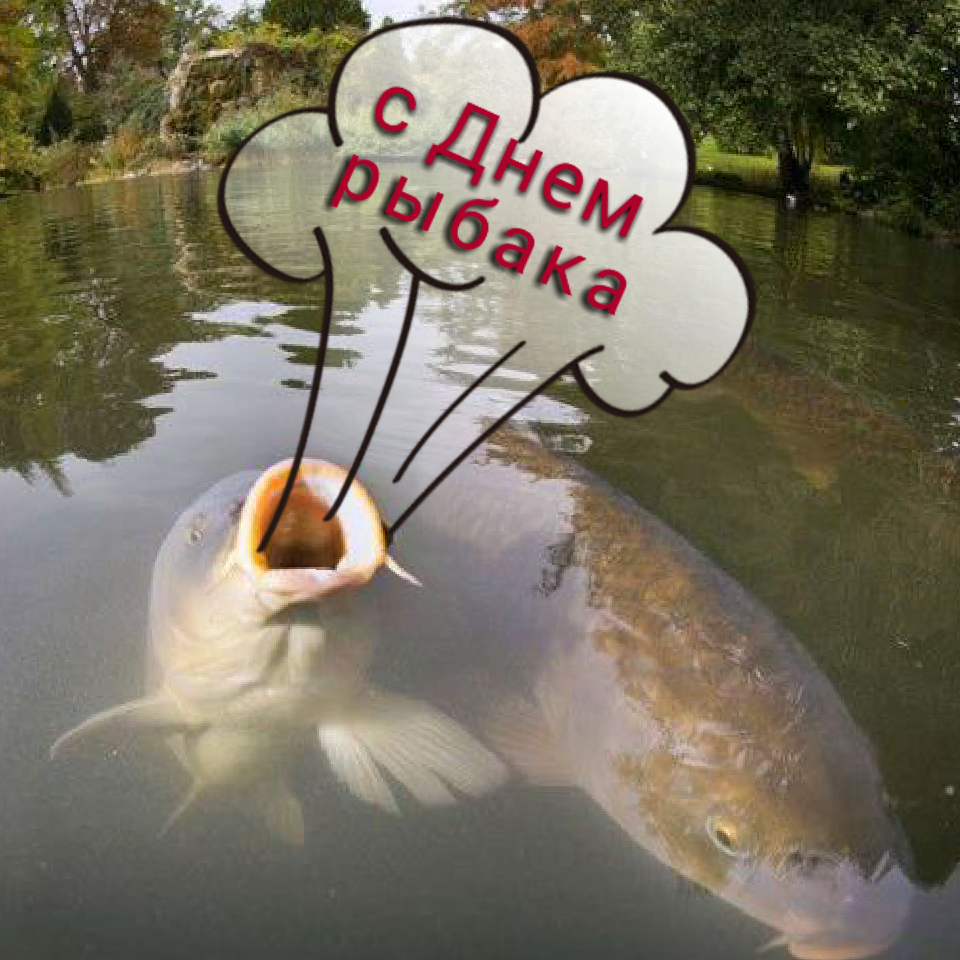 Поздравления с днем рождения рыбаку прикольные картинки