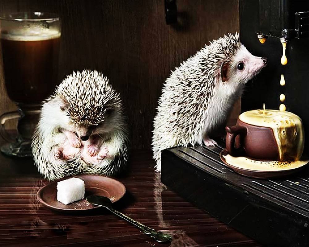 С новым добрым утром