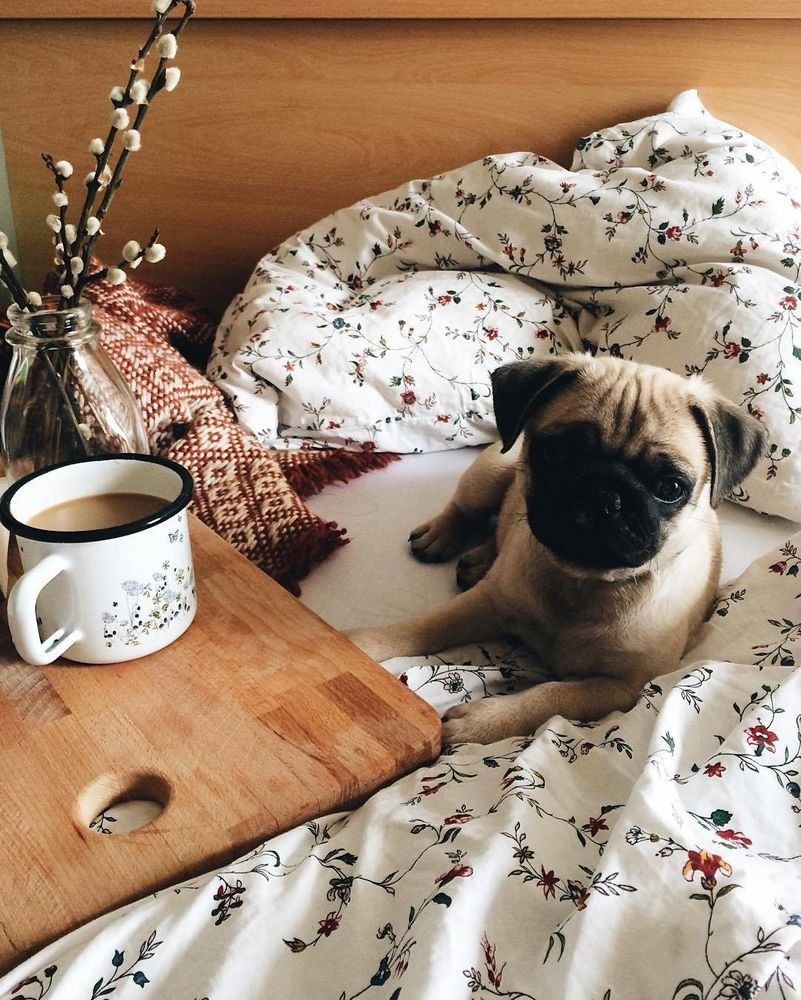 С добрым воскресным утром