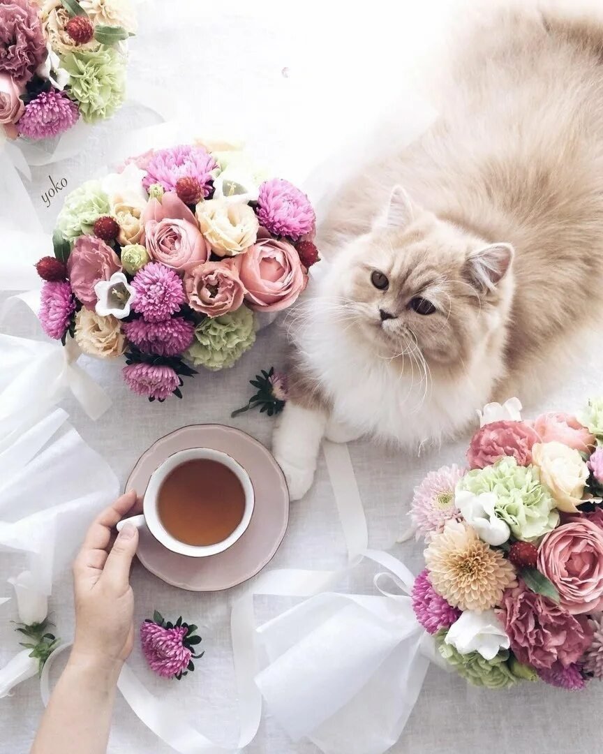 С добрым утром белка