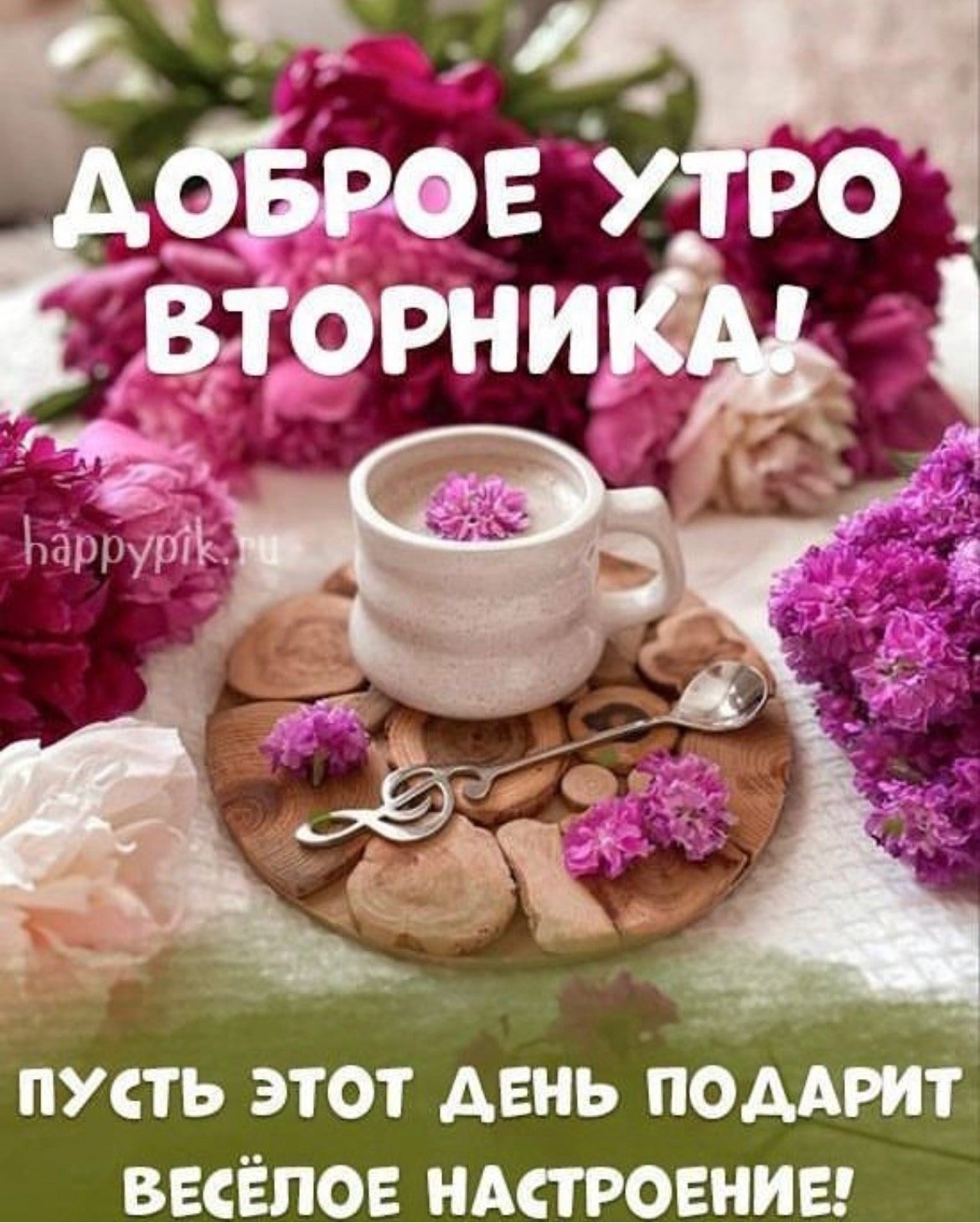 Удачного вторника и хорошего настроения