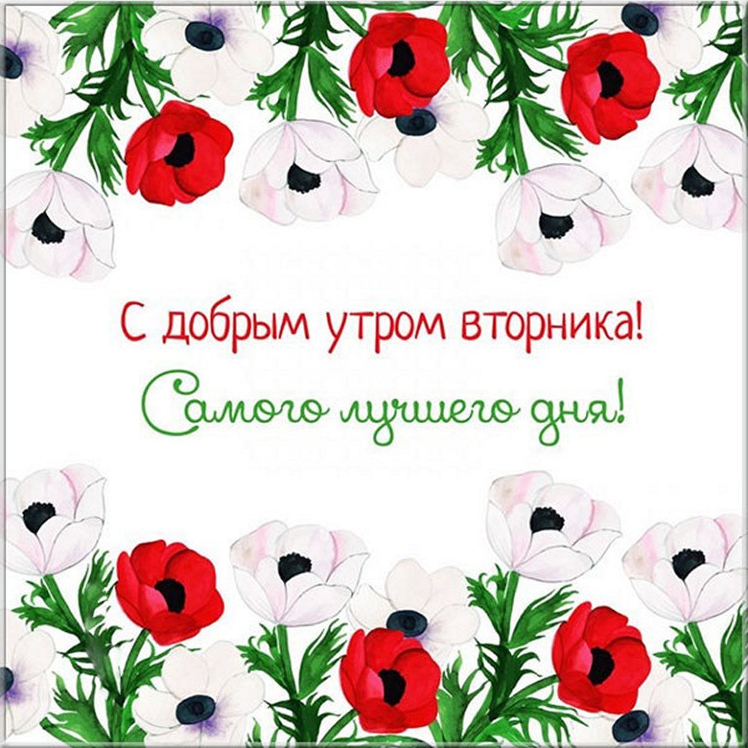 С добрым утром вторника