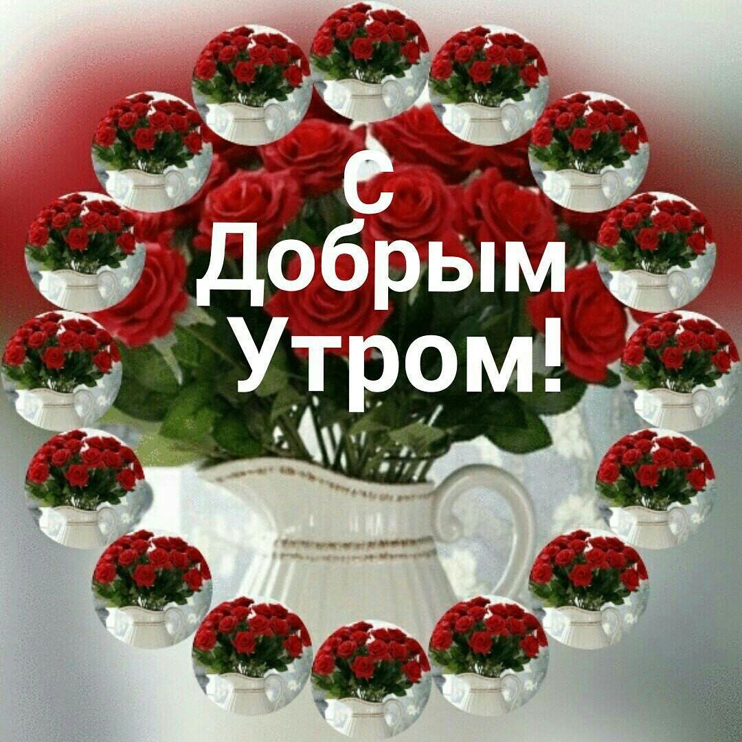 Открытка с добрым утром свекрови