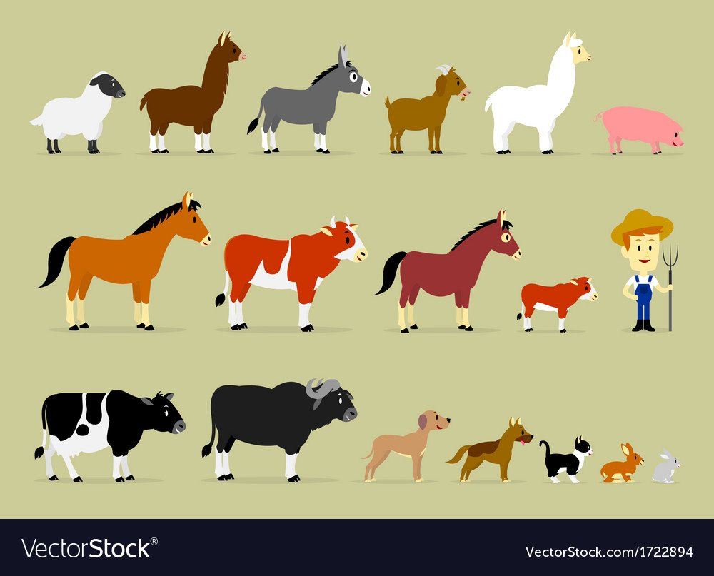 Домашних животных для детей