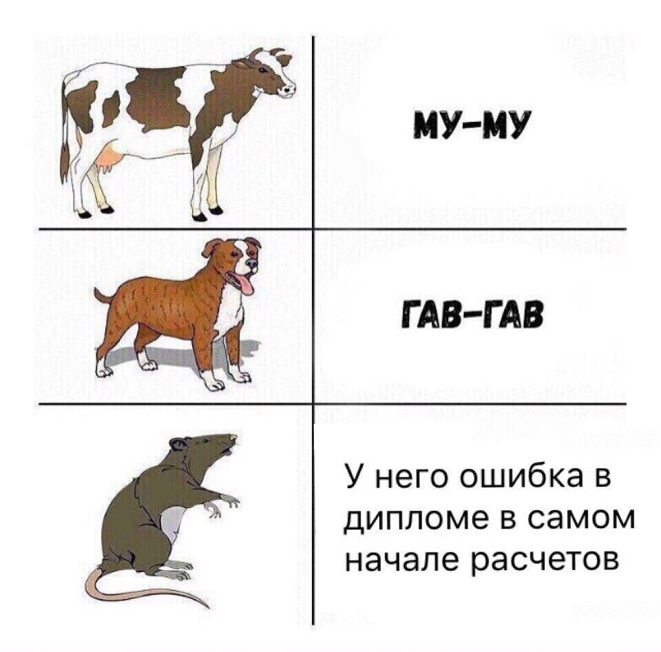 Корова выглядывает