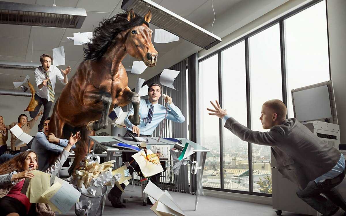 Креативная работа