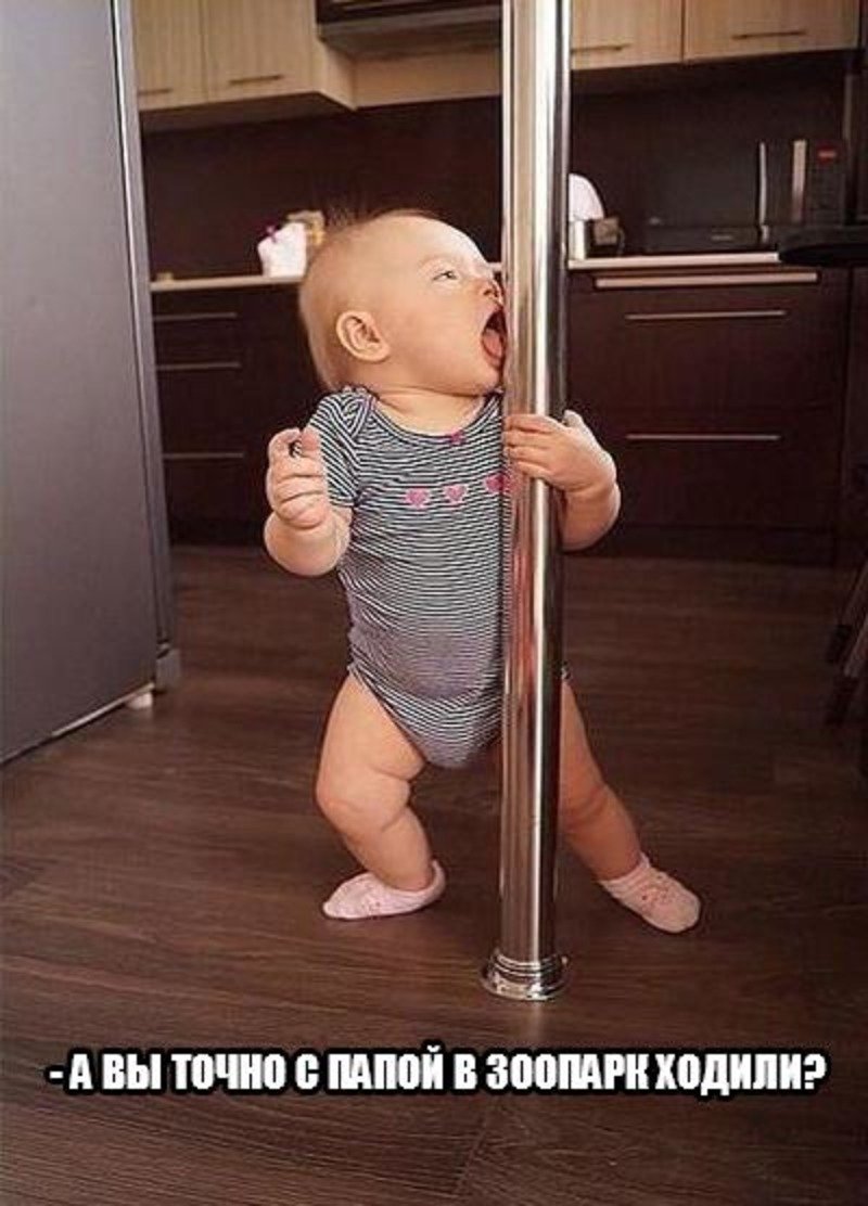 Кошки приколы для детей