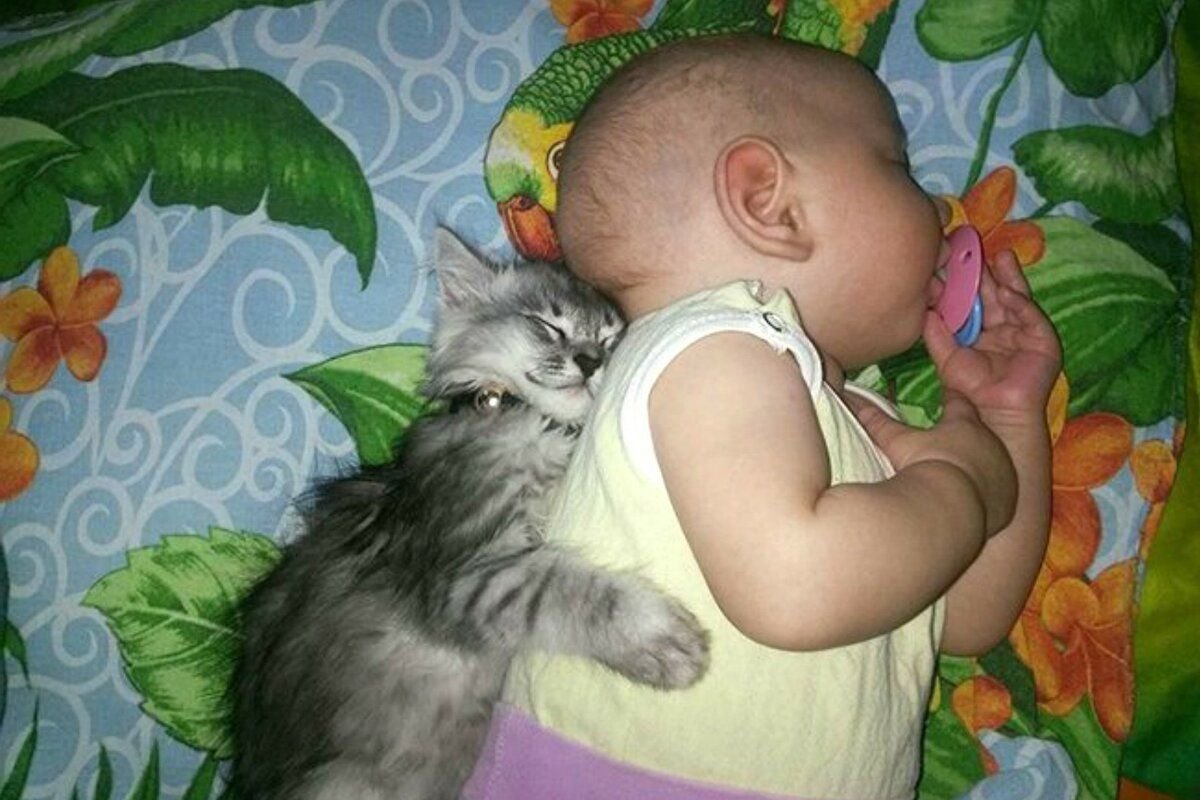 Приколы с детьми