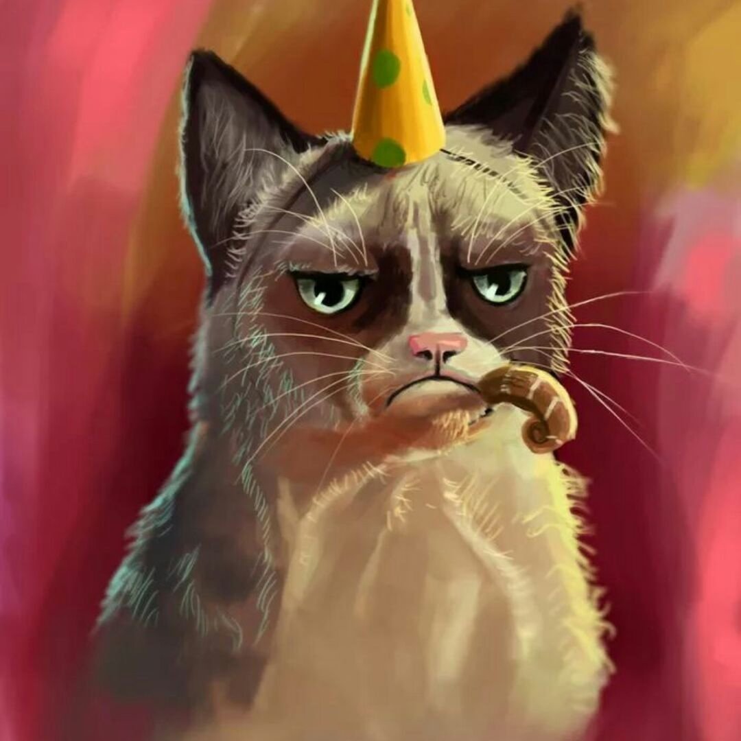 Грустный котик в колпаке