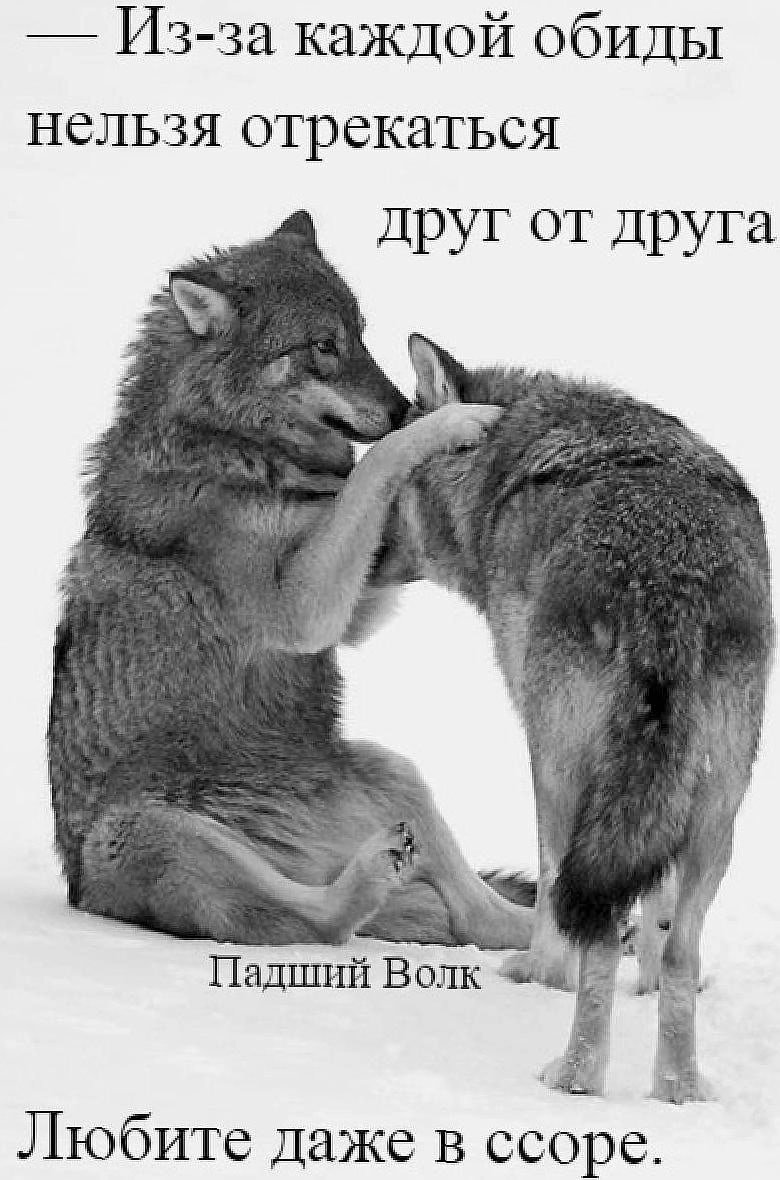 Любовь Волков