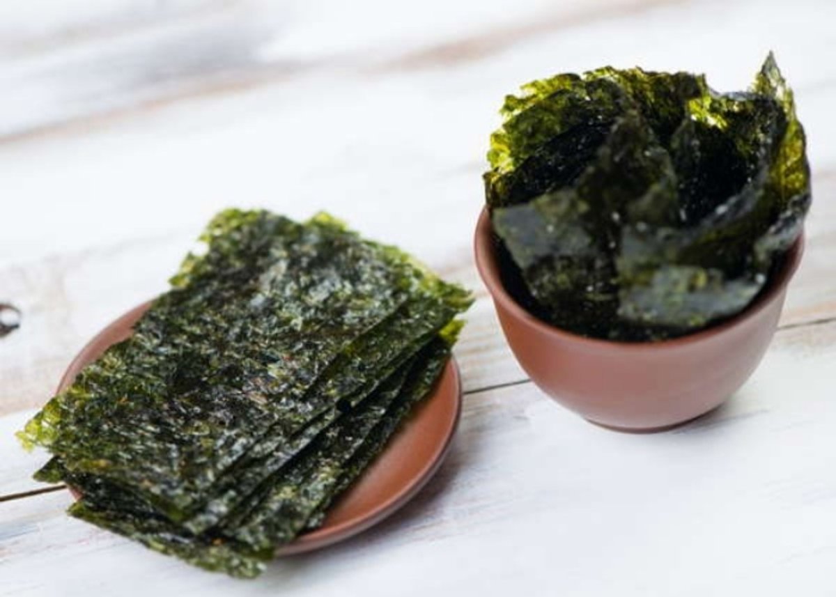 Морские водоросли ламинария