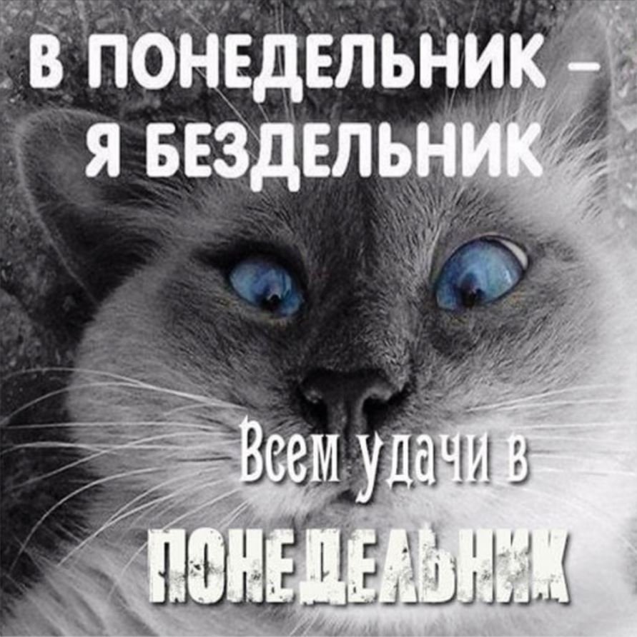 С понедельником прикольные