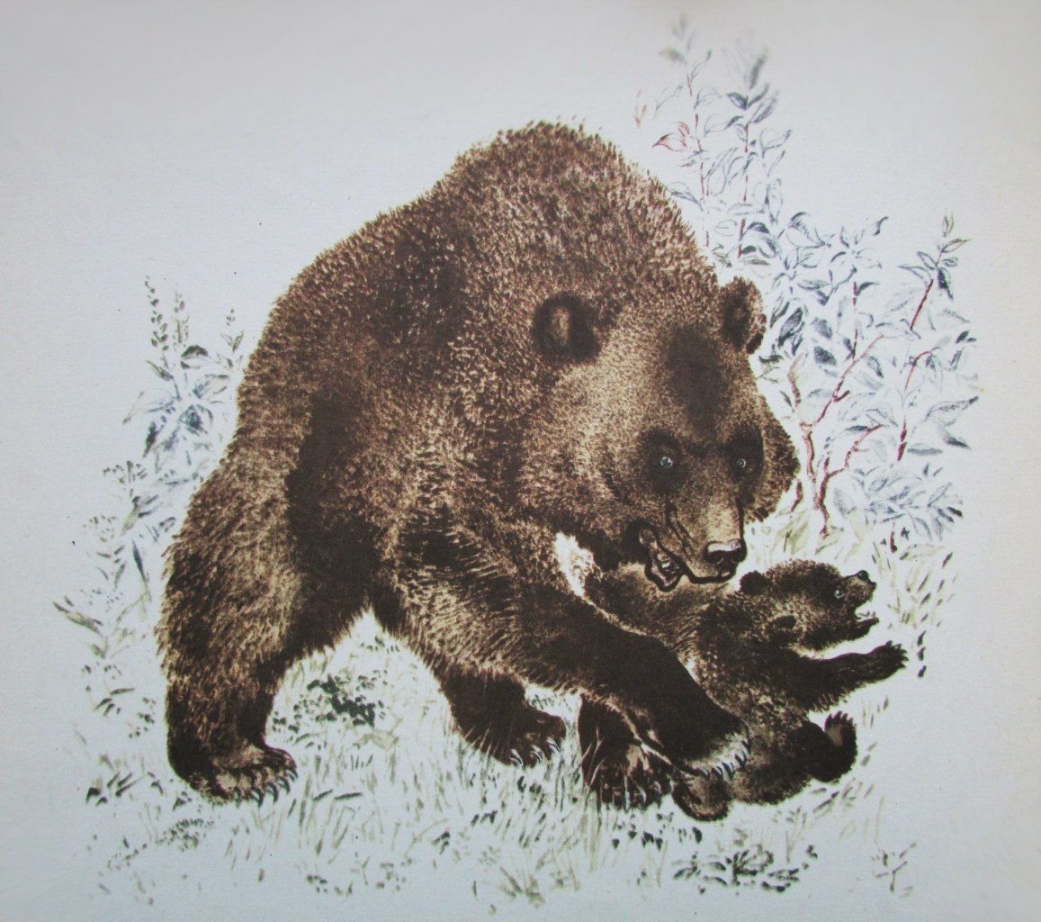 «Разговоры» животных, илюстрации