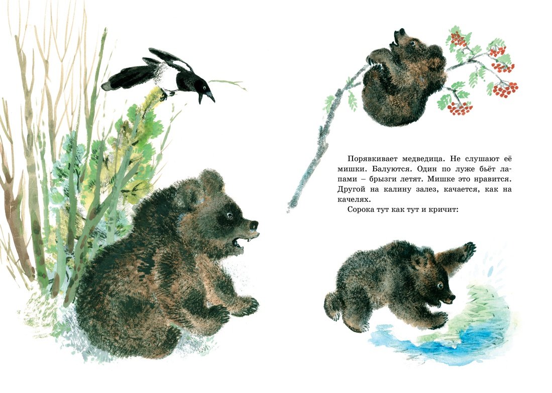 Евгений Чарушин олениха