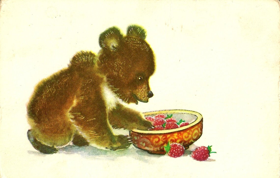 Чарушин рис животных медведь