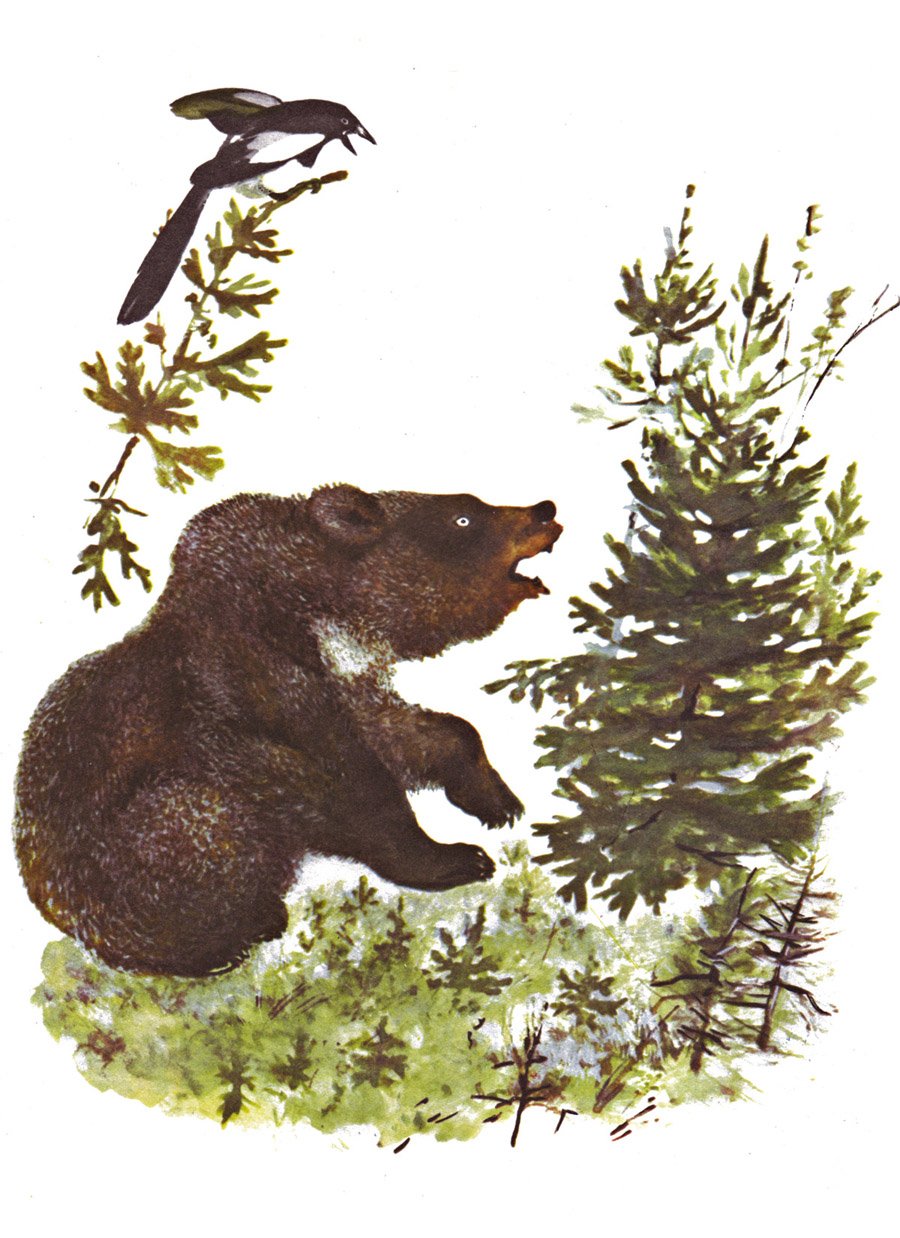 Произведение Чарушина медведь