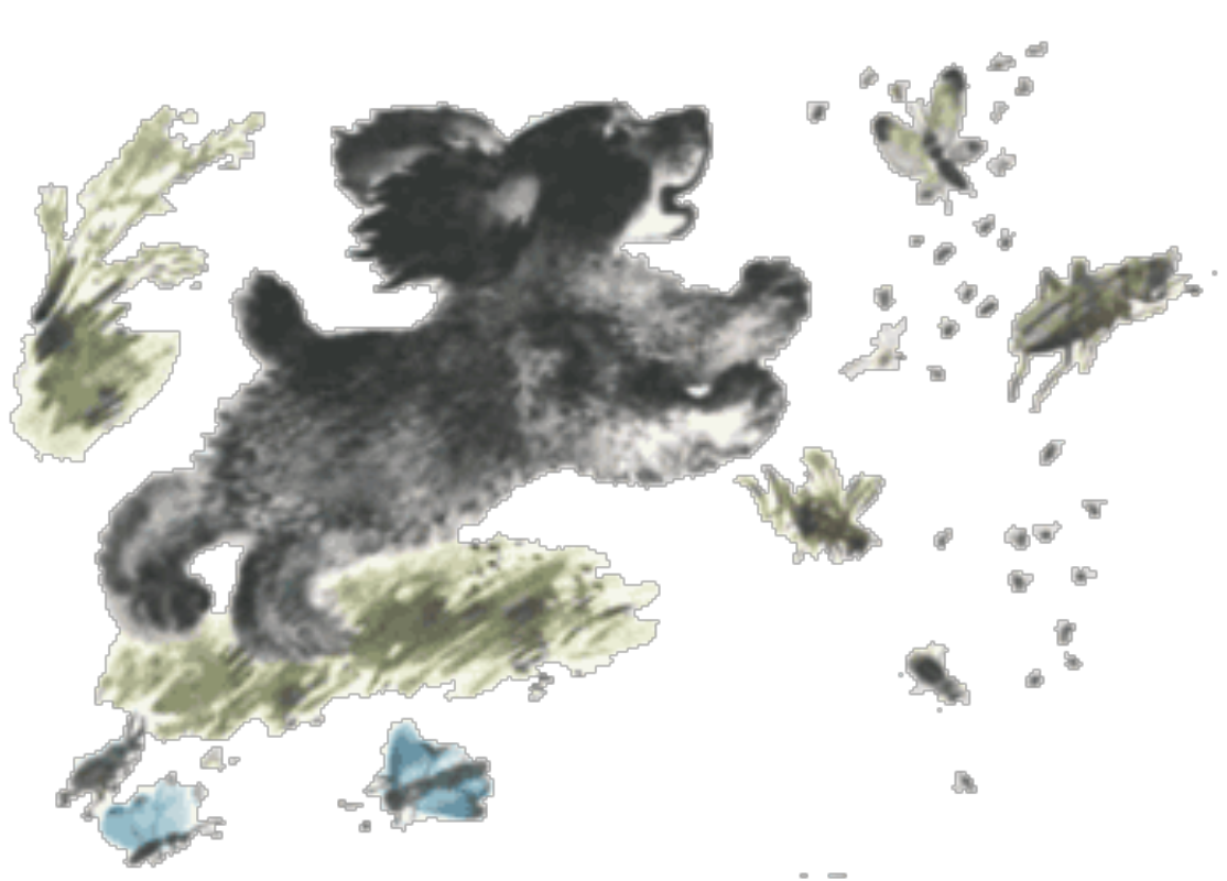 Евгений Чарушин рассказы о животных про Томку