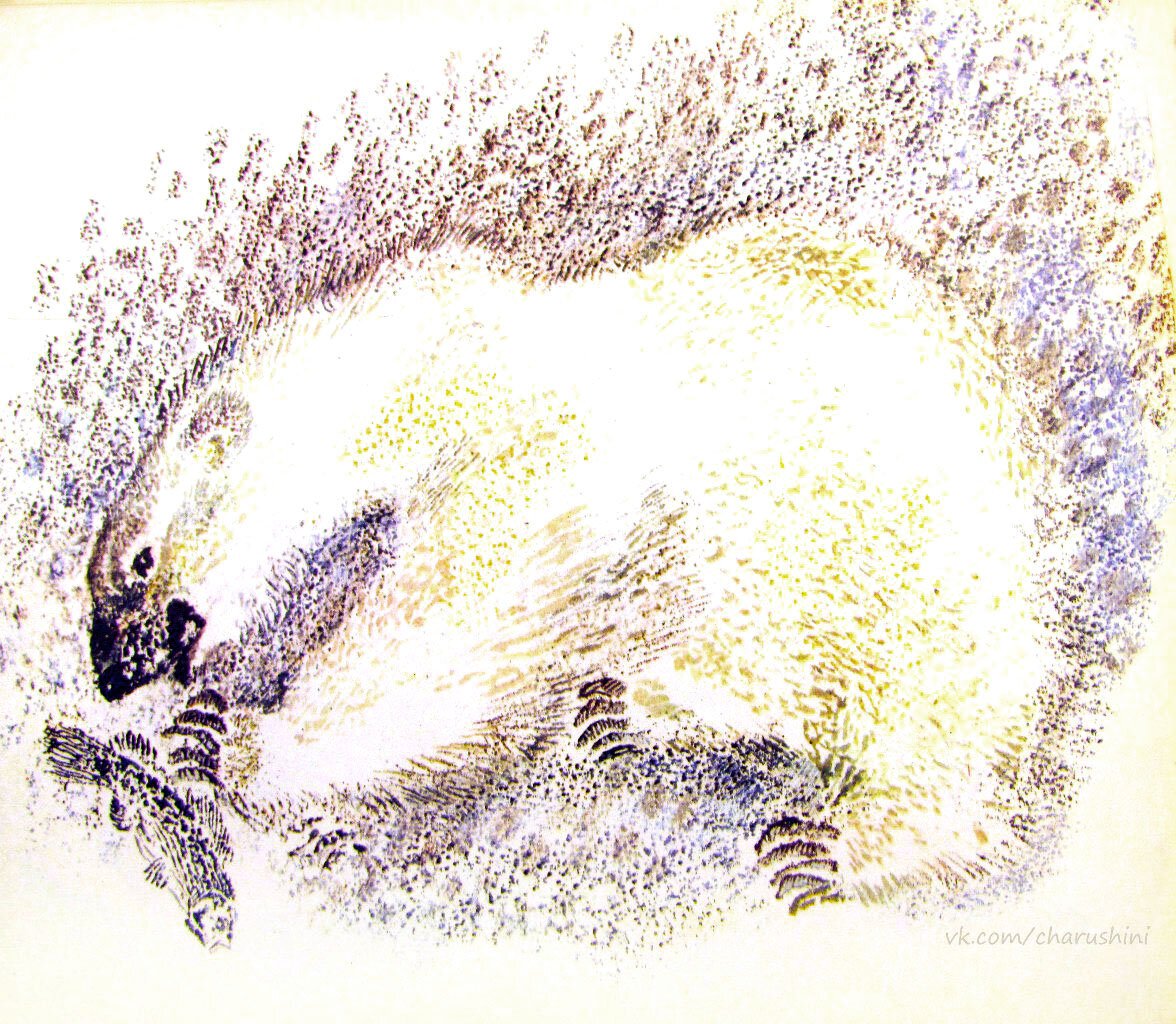 Евгений Чарушин иллюстратор