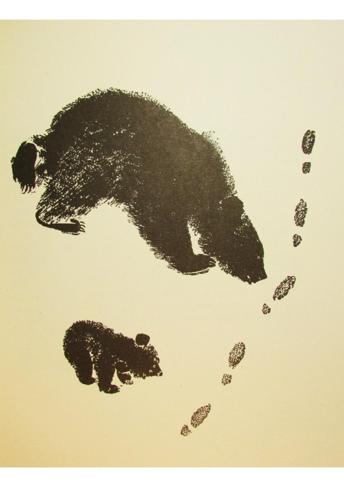 Евгений Чарушин кошка Маруська