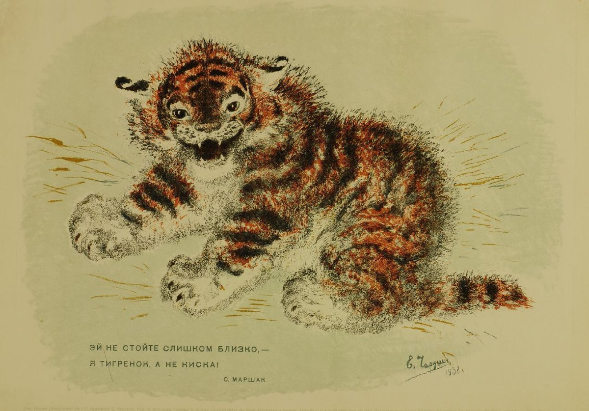 Евгений Иванович Чарушин мир животных