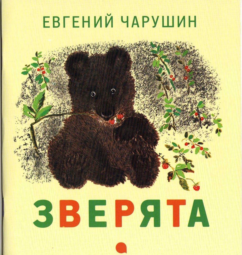 Чарушин медвежата картинки