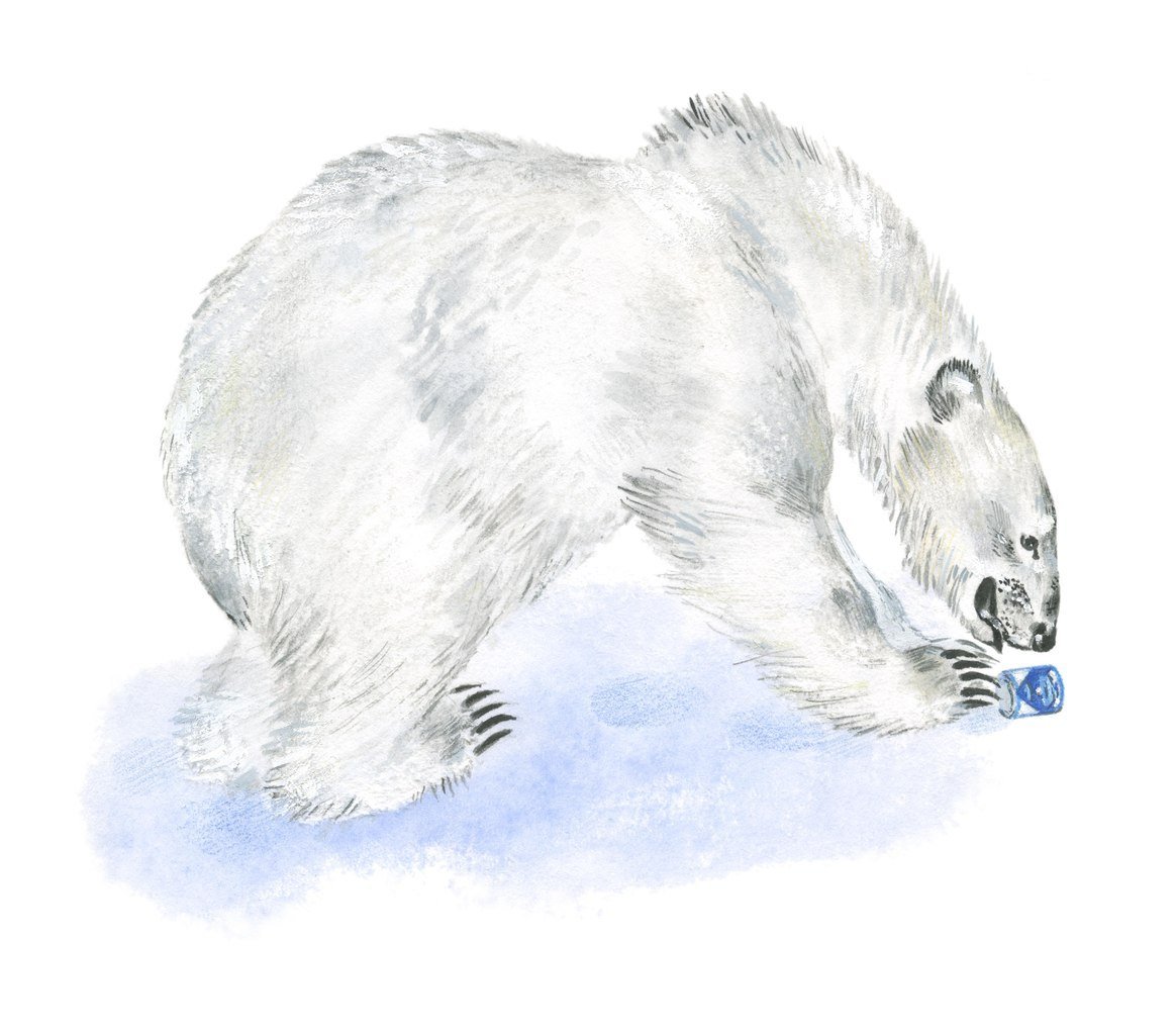 Чарушин про зайчат