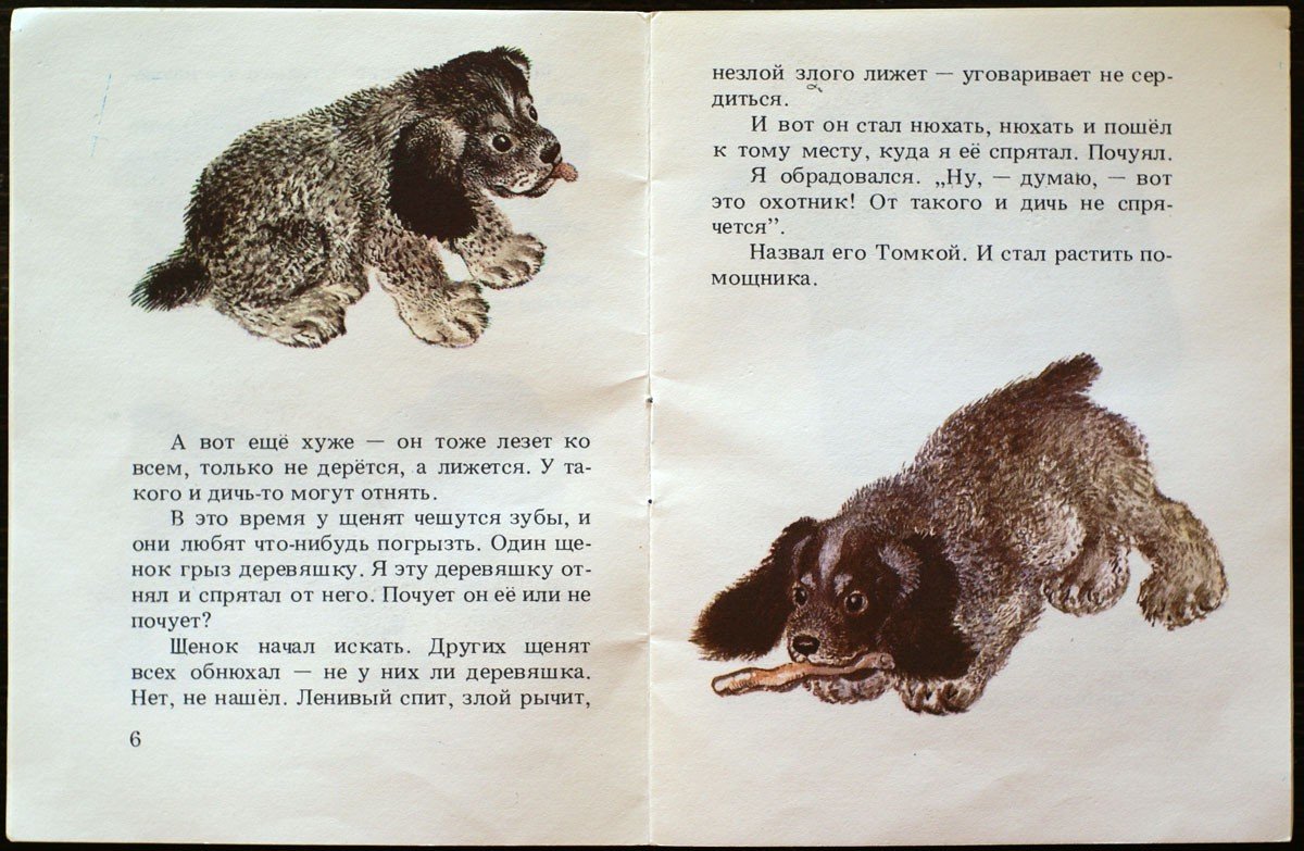 Иллюстрации Чарушина для детей