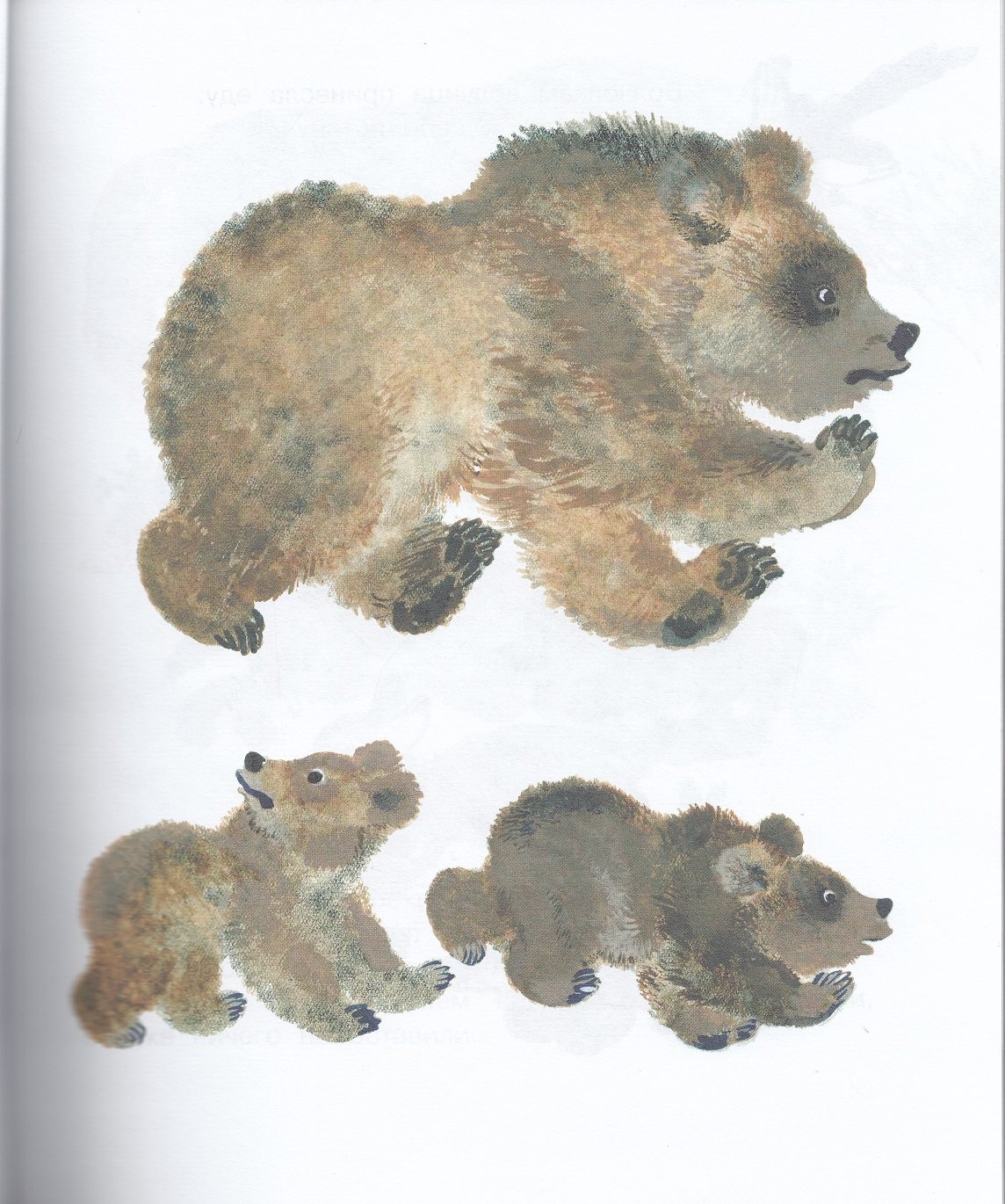 Рассказ белка е. Чарушин