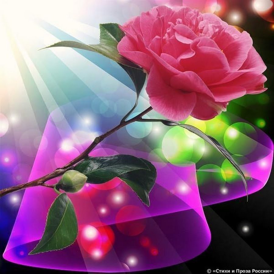 Поздравления на каждый день в картинках