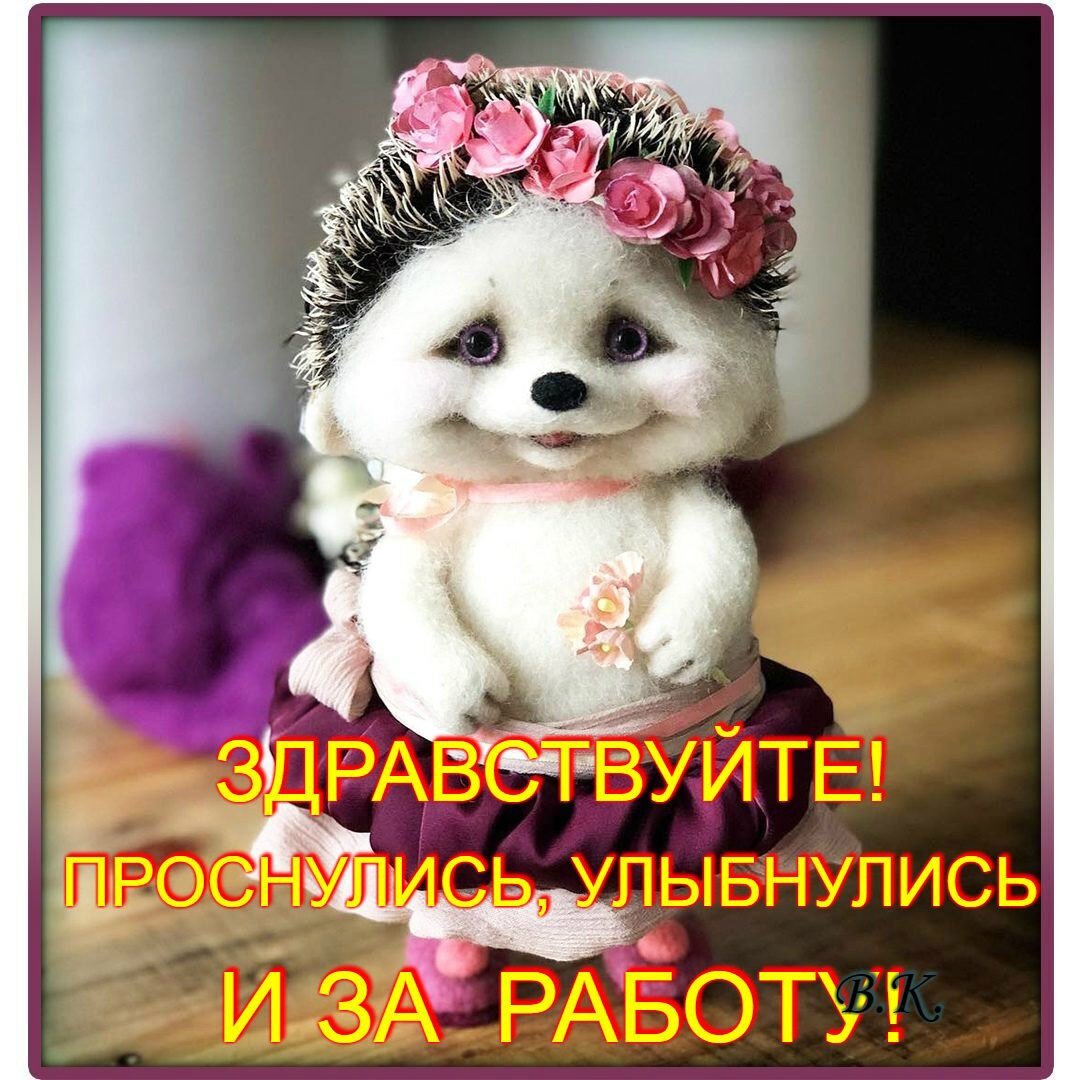 Мягкие игрушки с добрым утром