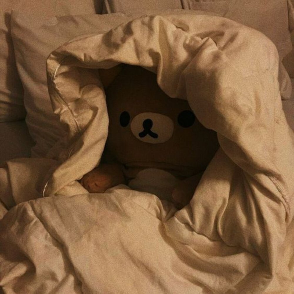 Мишка Эстетика Рилаккума